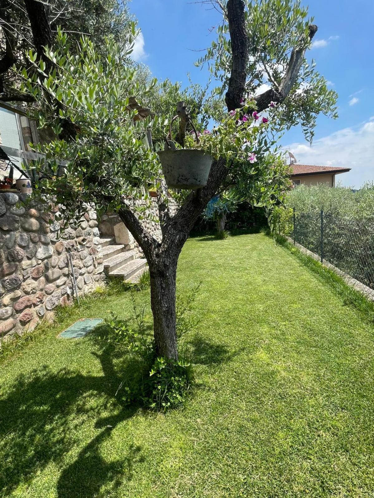 Garden Room Cavaion Veronese Extérieur photo